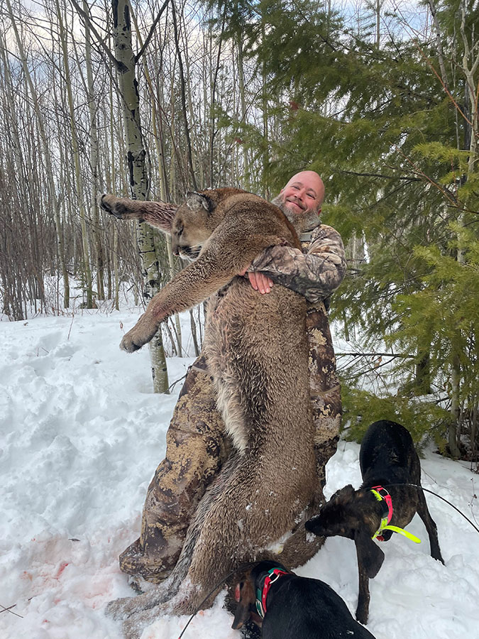 Canadian Lynx Hunt