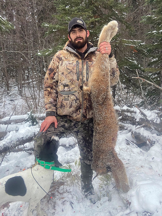Canadian Lynx Hunt
