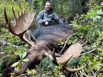 Moose Hunt